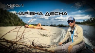 Секрети Десни! Ось де ВОНА! Щука вся на таких локаціях!