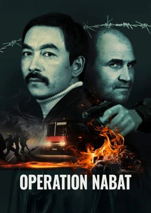 Operation Nabat