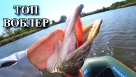 ОГО які здорові ЩУКИ! Твічинг Воблерів з човна