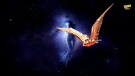 Beautiful music for the soul live relax your soul