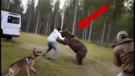 If These Animal Moments Were Not Filmed, No One Would Have Believed Them