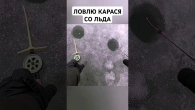 2 марта 2025 г.