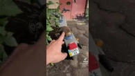 Список потрібного для фарбування мотоцикла своїми руками
