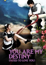 Fated to Love You — plakat