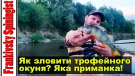 Як зловити трофейного окуня? Секрет приманки розкрито!