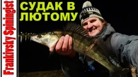 Крига стає судак клює: ловимо судака в лютому на воблер | Fishing for zander in February