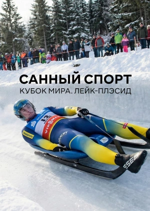 Санный спорт. Кубок мира. Лейк-Плэсид