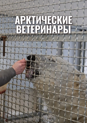 Арктические ветеринары