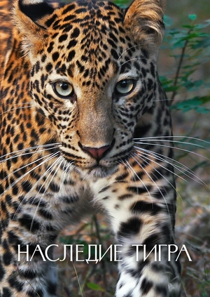 Наследие тигра