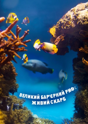 Великий Бар'єрний риф: живий скарб