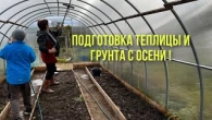 Дезинфекция грунта и теплицы осенью.