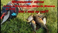 Мормышинг летом. Спиннинг Favorite Black Swan до 1 грм