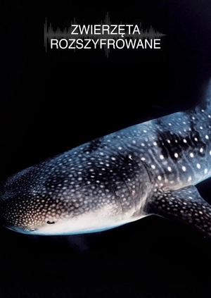 Zwierzęta rozszyfrowane