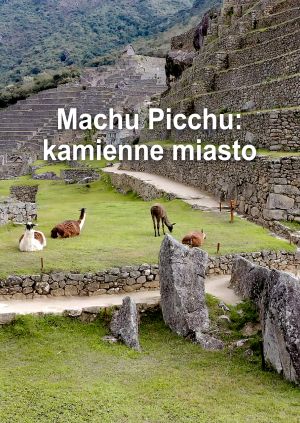 Machu Picchu: kamienne miasto — plakat