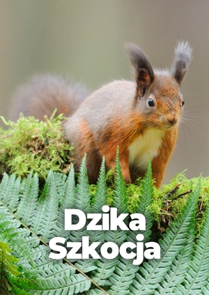 Dzika Szkocja