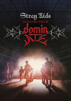 Stray Kids: Почувствуй dominATE