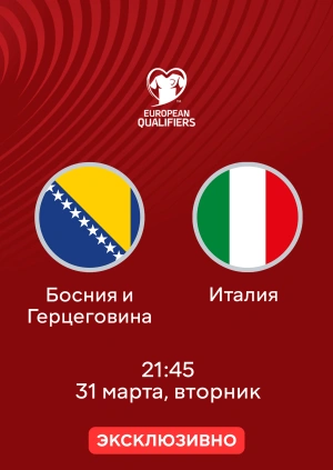 Босния и Герцеговина — Италия