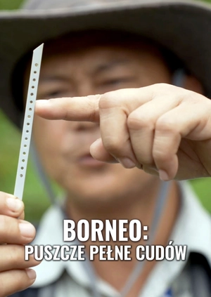 Borneo: puszcze pełne cudów
