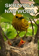 Skrzydła nad wodą — plakat