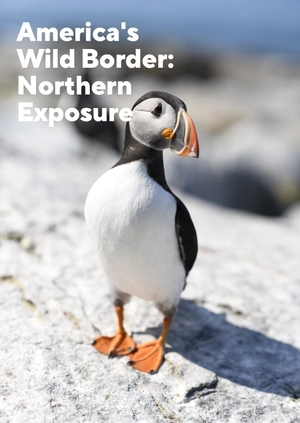 America's Wild Border: Northern Exposure