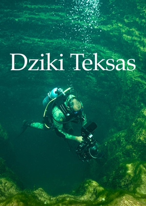 Dziki Teksas