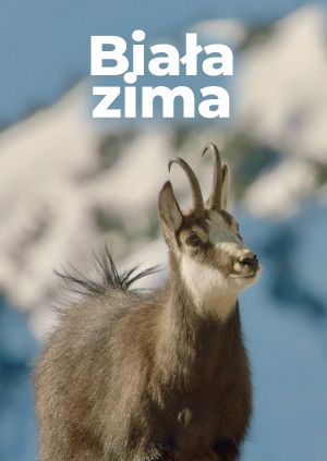 Biała zima — plakat