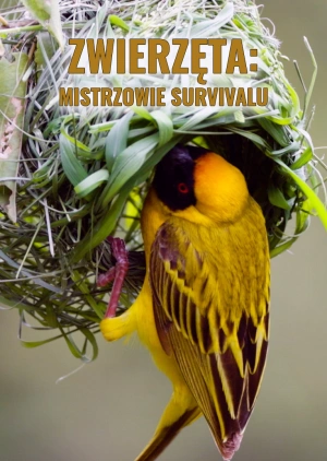 Zwierzęta: mistrzowie survivalu