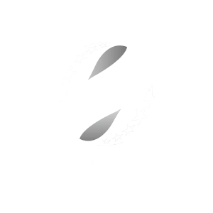 Карпати — Олександрія