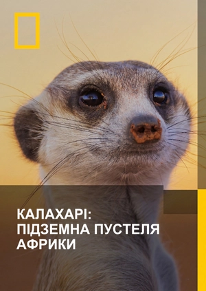 Калахарі: підземна пустеля Африки