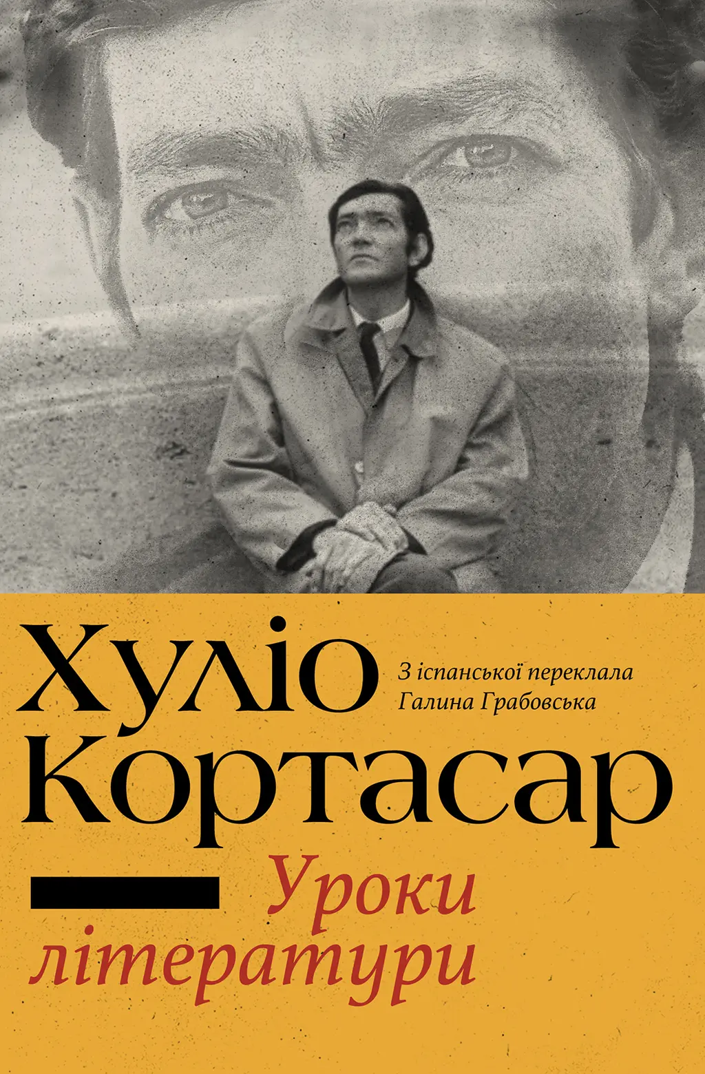 Обкладинка "Уроки літератури"