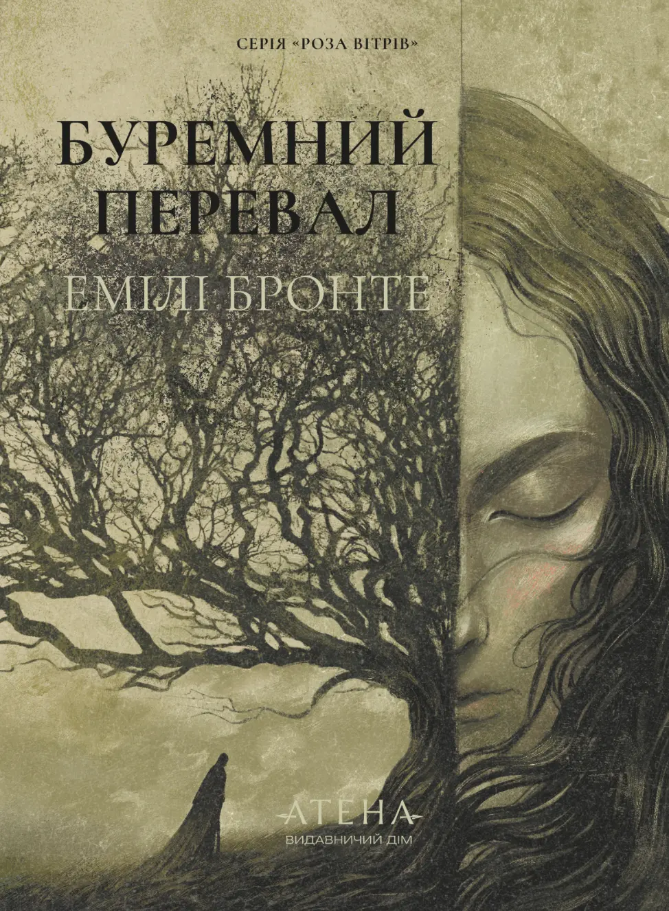 Обкладинка "Буремний перевал"