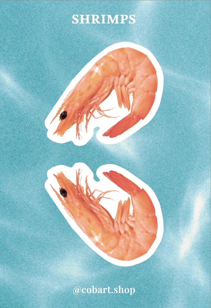 Об'ємні парні стікери «Shrimps»