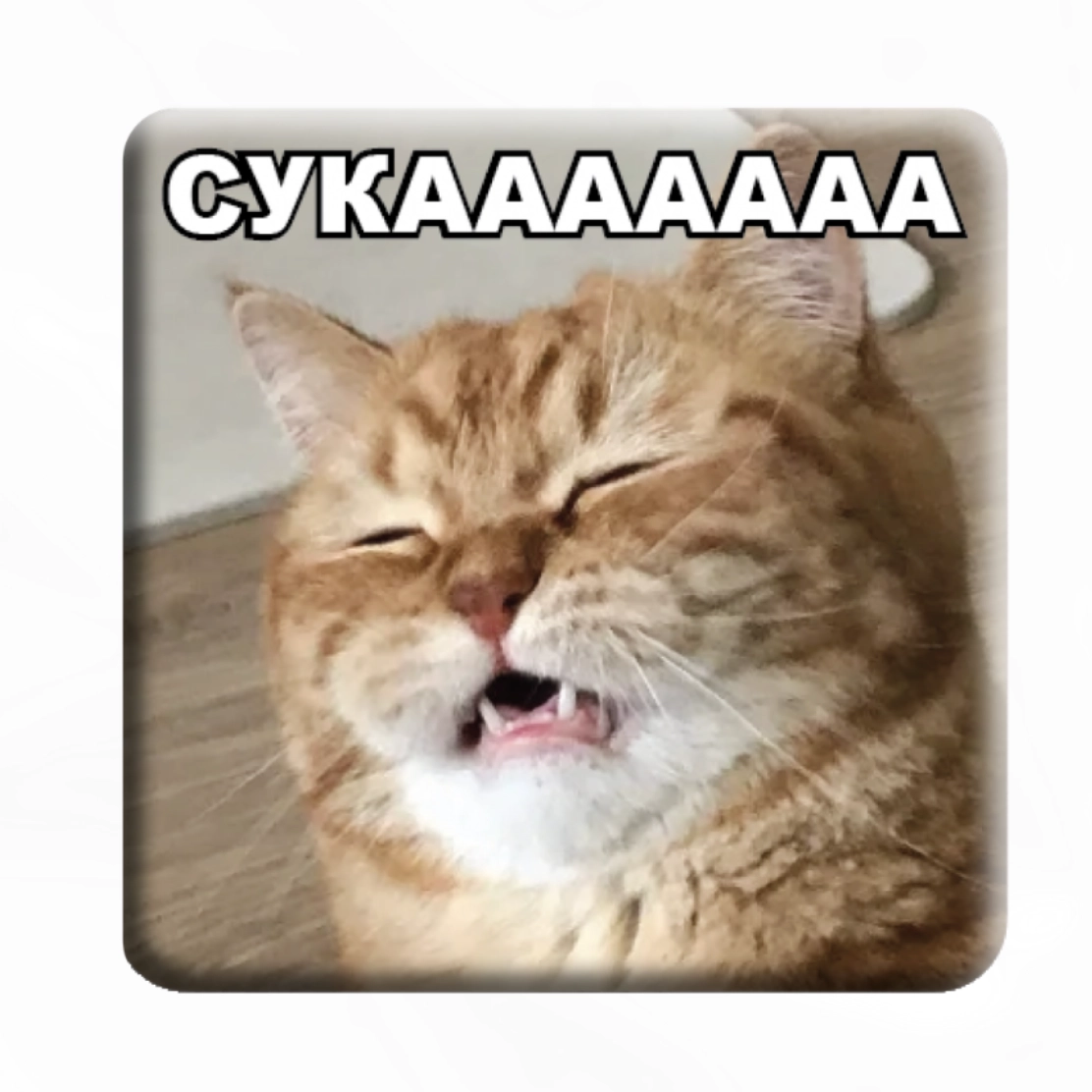 3D стікер «СУКААААААА»