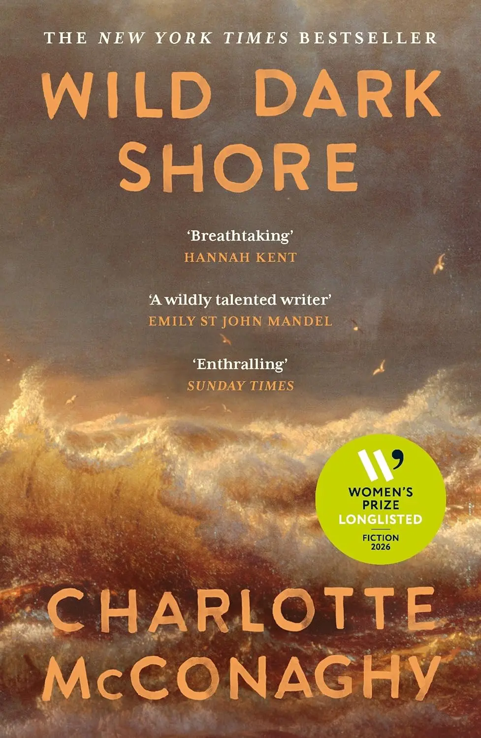Обкладинка "Wild Dark Shore"