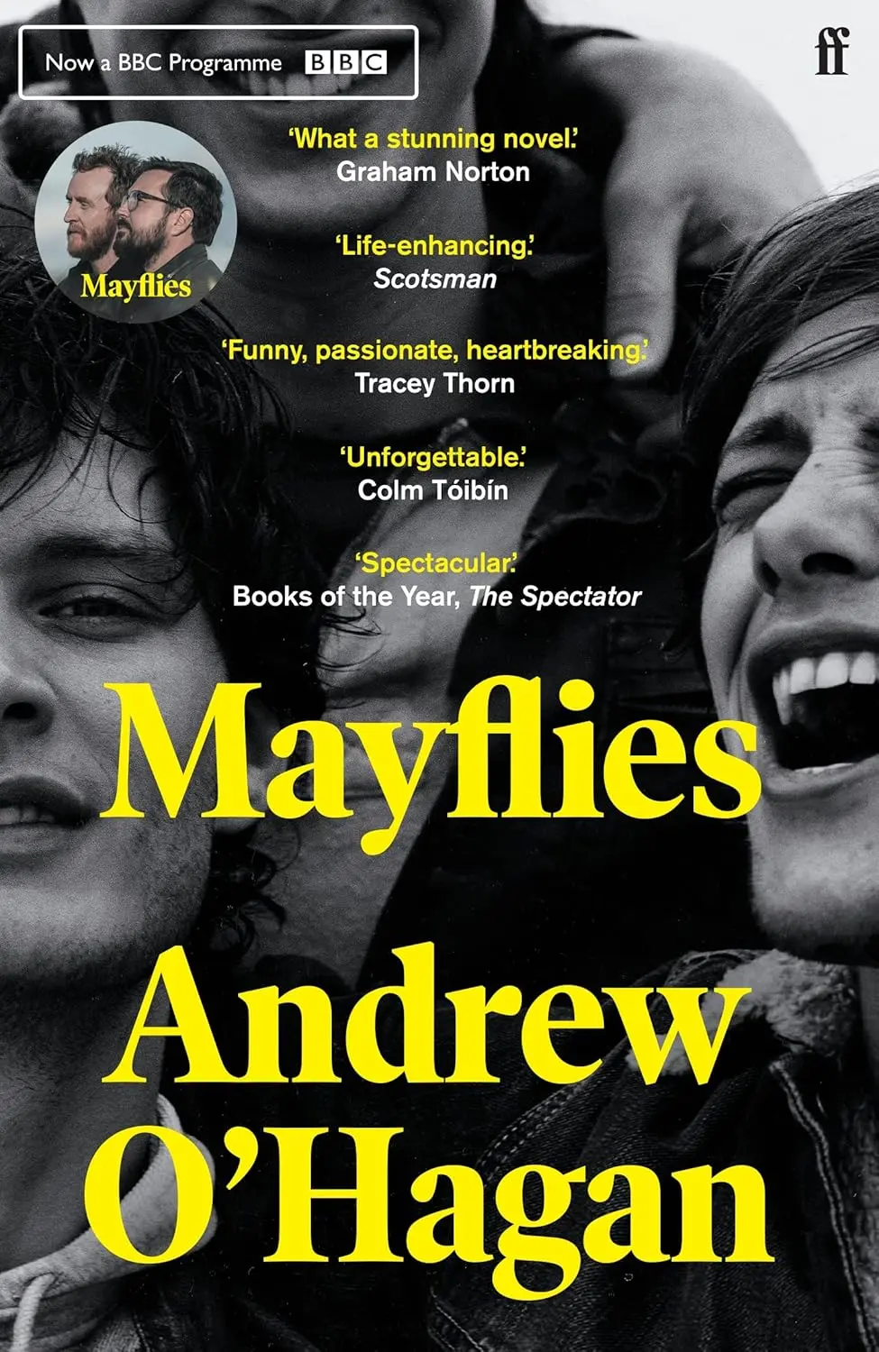 Обкладинка "Mayflies"