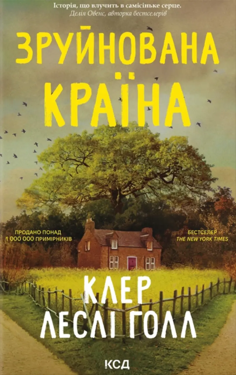 Обкладинка "Зруйнована країна"