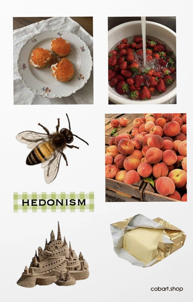 Вініловий стікерпак «Hedonism»