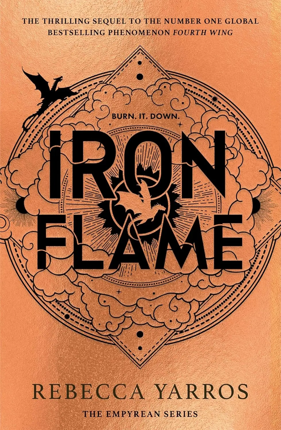Обкладинка "Iron Flame"