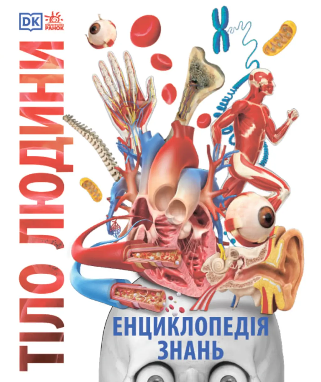 Обкладинка "Енциклопедія знань. Тіло людини"