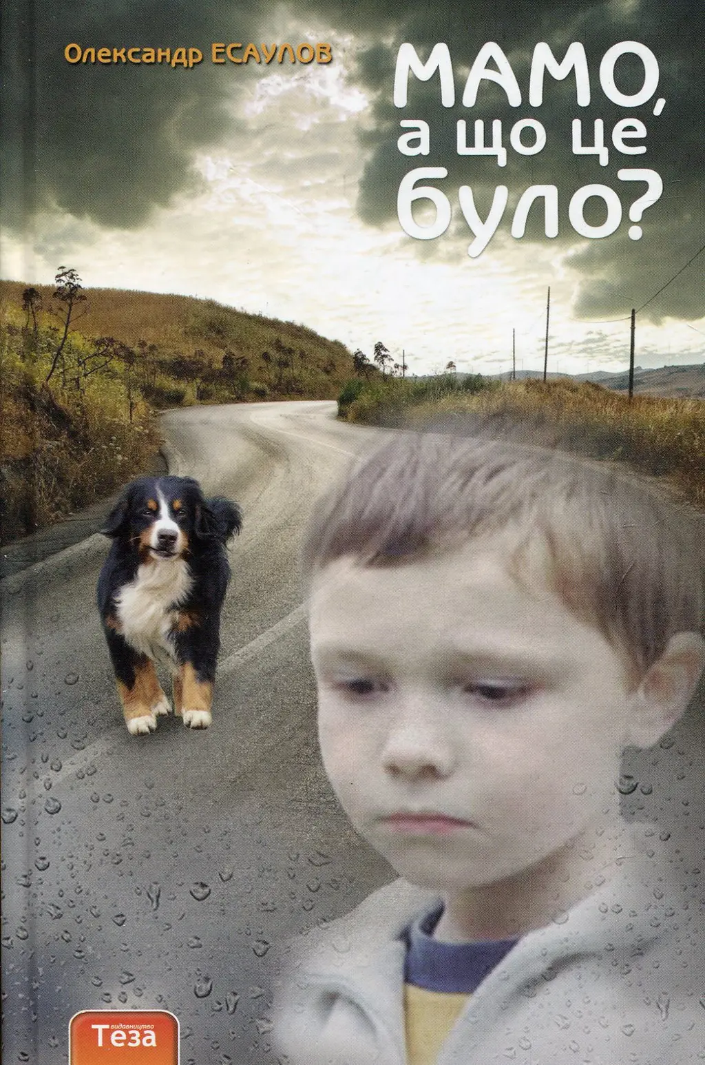 Обкладинка "Мамо, а що це було?"