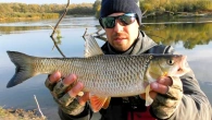 Ловля Жереха на Десні у Жовтні