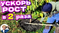 Серія 360