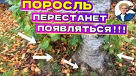 Серія 357