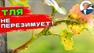 Серія 349