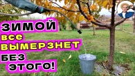 ЗАЩИТА САДА ОТ МОРОЗОВ. Этот метод работает всегда - полив перед заморозками