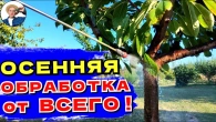 Как ПОДГОТОВИТЬ САД к ЗИМЕ: Советы и Хитрости