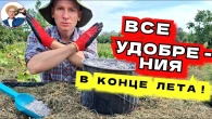 УДОБРЯЕМ ОСЕНЬЮ! Готовим грядки под овощи, увеличиваем зимостойкость растений