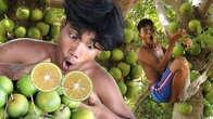 Survival in the Rainforest: Green Orange Picks and Exotic Yummy Eats | Primitive Boy
