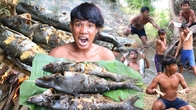 Ultimate Rainforest Survival: Pangasiid Catfish Grill Recipe, Primitive Boy's Delicious Jungle Feast