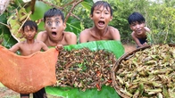 Survival in the rainforest - Cooking grasshopper recipe and eating